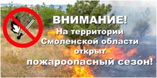 в Смоленской области начинается пожароопасный сезон - фото - 1