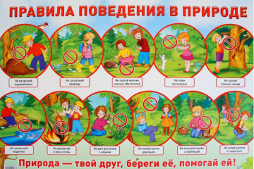 правила поведения в природе - фото - 1