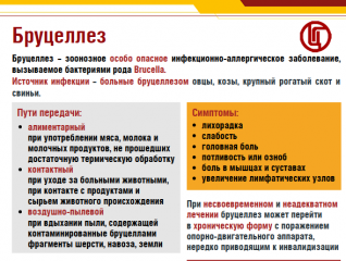 о профилактике бруцеллеза - фото - 1