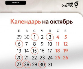 в октябре предпринимателям предстоит традиционно сдать ряд деклараций и отчетов - фото - 1