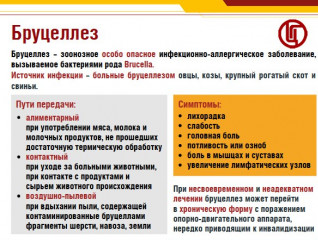 о профилактике бруцеллеза - фото - 1