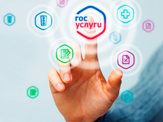 получение массовых социально значимых услуг в электронном виде - фото - 1