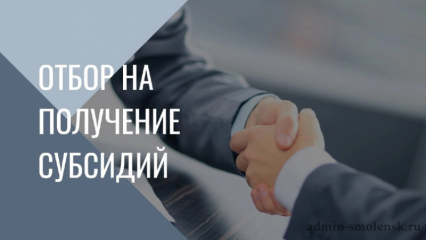 конкурсный отбор по предоставлению грантов в форме субсидий для начинающих предпринимателей - фото - 1