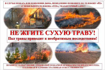 не жгите сухую траву - фото - 2