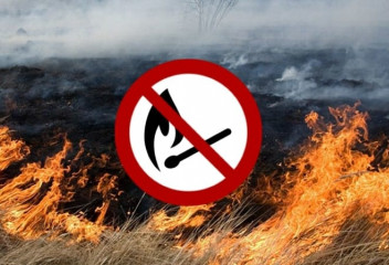пал сухой травы — запрещен - фото - 1