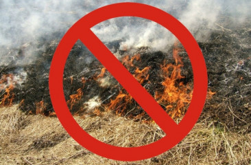 осторожно: весенний пал травы опасен - фото - 1