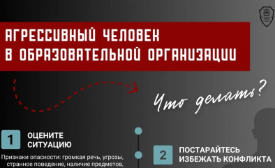 агрессивный человек в образовательной организации - что делать - фото - 1