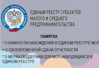 о предоставлении отчетности субъектами малого и среднего предпринимательства - фото - 1