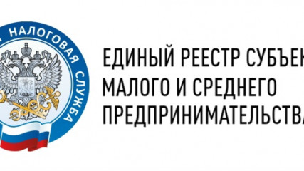 важная информация о реестре субъектов МСП - фото - 1