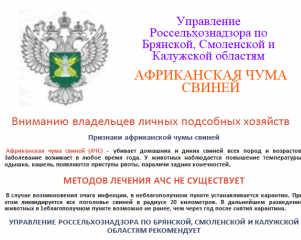 признаки африканской чумы свиней - фото - 1