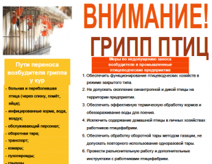 внимание! Грипп птиц - фото - 1