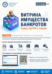 «витрина имущества банкротов»: покупка активов должников стала прозрачной и доступной - фото - 1