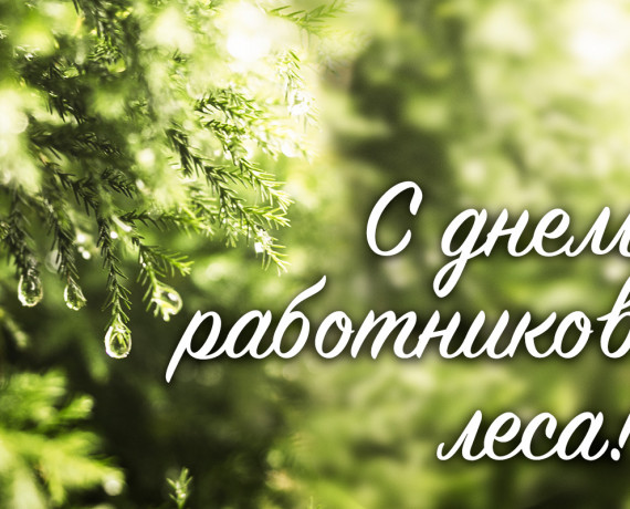 с Днем работников леса - фото - 1