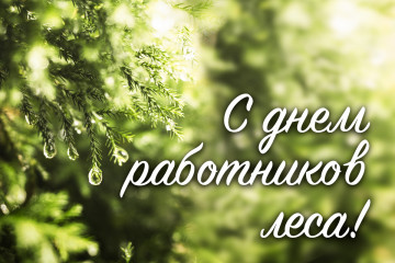с Днем работников леса - фото - 1