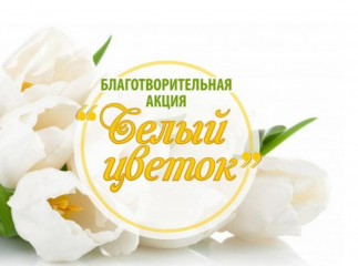 благотворительная акция "Белый цветок" - фото - 1