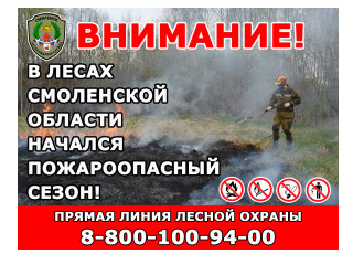 в Смоленской области начался пожароопасный сезон - фото - 1