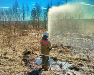 в борьбе с огненной стихией профессиональным пожарным на помощь приходят добровольцы - фото - 1